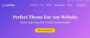 astra wordpress theme