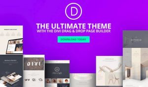 Divi theme by elegant